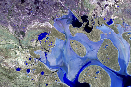 Technical Intelligence